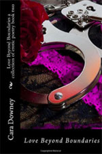 Love Beyond Boundaries: A Collection of Erotic Poetry Book 2